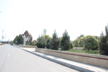 Gülə, çiçəyə bürünən Goranboy