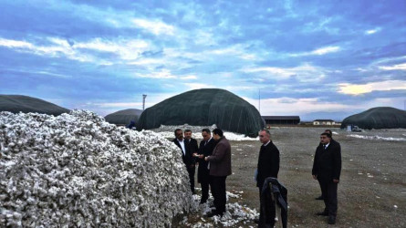 Goranboyda İcra Başçısı “MKT İstehsal Kommersiya” MMC-nin pambıq qəbulu məntəqəsində oldu