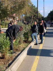 Goranboy  şəhərində,  "Yaşıl dünya naminə həmrəylik ili" çərçivəsində, növbəti ağacəkmə aksiyası həyata keçirildi.