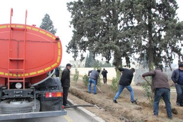 Goranboyda,  Ümummilli Liderimiz Heydər Əliyevin Anım Günü ilə bağlı,  ağacəkmə aksiyası keçirildi