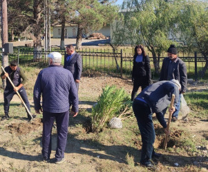 Goranboyda  "Yaşıl dünya naminə həmrəylik ili"  çərçivəsində, növbəti ağacəkmə aksiyası həyata keçirildi.