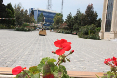 Gülə, çiçəyə bürünən Goranboy
