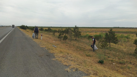 Goranboyda yol kənarında ağaclar suvarıldı, məişət tullantıları təmizləndi