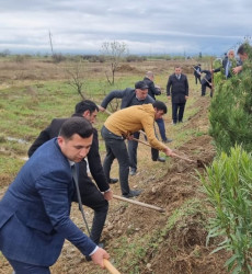 Goranboy  şəhərində,  "Yaşıl dünya naminə həmrəylik ili" çərçivəsində, növbəti ağacəkmə aksiyası həyata keçirildi.