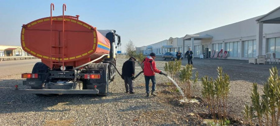 Goranboyda yeni salınmış yaşıllıq zolaqlarına aqrotexniki qulluq işləri davam etdirilir