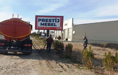 Goranboyda yeni salınmış yaşıllıq zolaqlarına aqrotexniki qulluq işləri davam etdirilir