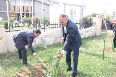 Goranboyda, “27 sentyabr – Anım Günü” ilə bağlı ağacəkmə aksiyası keçirildi.