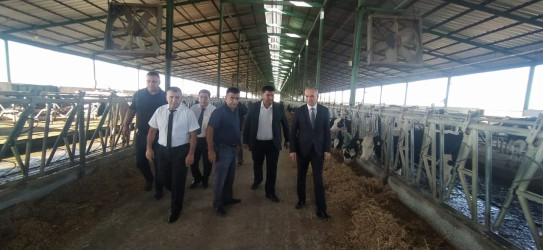 Goranboy rayonunun Muzdurlar kəndində 2026–2030-cu illər üçün Dövlət Proqramının icrası ilə bağlı marifləndirici görüş keçirildi