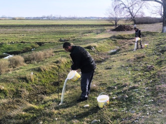Goranboyda yeni salınmış yaşıllıq zolaqlarına aqrotexniki qulluq işləri davam etdirilir