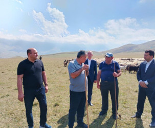 Goranboyda İcra Başçısı Kəpəz yaylağına köç etmiş qoyunçuluq təsərrüfatlarında oldu
