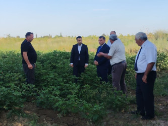 Goranboyda fermerlərlə Dövlət Proqramının icrasına həsr olunmuş maarifləndirici görüş keçirildi