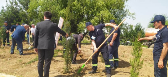 Goranboyda, "Yaşıl dünya naminə həmrəylik ili" ilə bağlı, növbəti ağacəkmə aksiyası keçirildi.