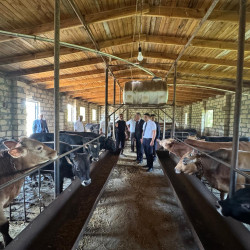 Goranboyda Dövlət Proqramının icrası çərçivəsində heyvandarlıq sahəsində maarifləndirici tədbir keçirildi