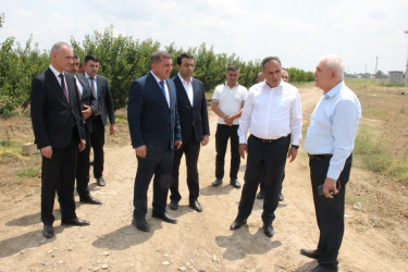 Goranboyda aqrar sahənin inkişafı istiqamətində görülən işlərlə tanışlıq davam edir