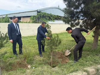 Goranboyda “Şəhərsalma və Memarlıq İli” çərçivəsində Ümummilli Lider Heydər Əliyevin anadan olmasının 103-cü ildönümü ilə bağlı ağacəkmə aksiyası keçirildi