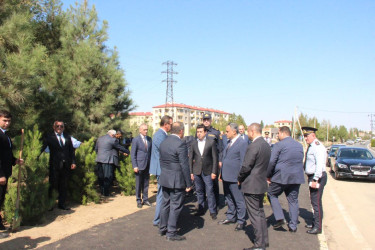 Goranboyda  “27 sentyabr –Anım Günü” ilə bağlı ağacəkmə aksiyası keçirildi