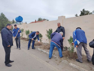 "Yaşıl dünya naminə həmrəylik ili" çərçivəsində  Qızılhacılı qəsəbəsində həyata keçirilən ağacəkmə aksiyasında qəsəbə sakinləri fəal iştirak etdilər.