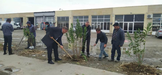 "Yaşıl dünya naminə həmrəylik ili" çərçivəsində, Goran qəsəbəsi ərazisində növbəti ağac əkini işləri həyata keçirildi.