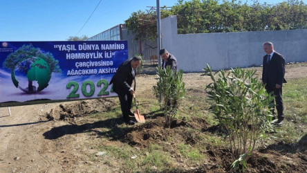 Dəliməmmədli şəhəri ərazisində, "Yaşıl dünya naminə həmrəylik ili" çərçivəsində, ağac əkini işləri davam etdirilir.