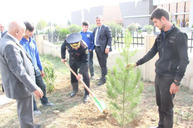 Goranboyda, “27 sentyabr – Anım Günü” ilə bağlı ağacəkmə aksiyası keçirildi.