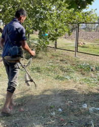 Goranboyda təmizlik həftəsi çərçivəsində rayonun bütün yaşayış məntəqələrində qəbiristanlıqlar və yol kənarları ərazilərdə təmizlik işləri aparıldı