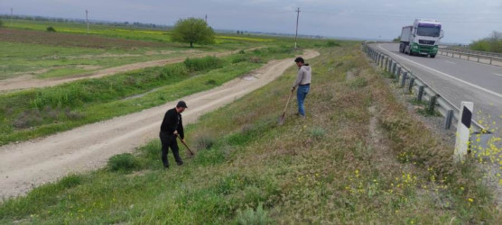 Goranboyda “Şəhərsalma və Memarlıq ili” və beynəlxalq veloyarışa hazırlıq çərçivəsində abadlıq işləri davam etdirilir