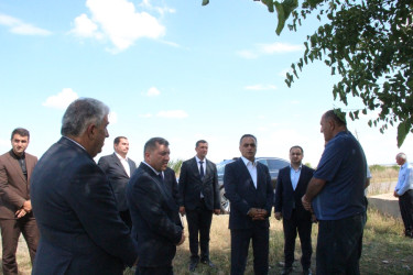 Goranboyda aqrar sahədə görülən işlər diqqət mərkəzindədir