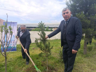 Goranboyda “Şəhərsalma və Memarlıq İli” çərçivəsində Ümummilli Lider Heydər Əliyevin anadan olmasının 103-cü ildönümü ilə bağlı ağacəkmə aksiyası keçirildi
