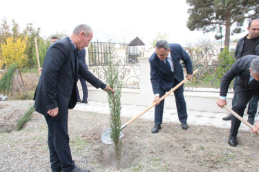 Goranboyda “08 noyabr –Zəfər Günü” ilə bağlı növbəti ağacəkmə aksiyası keçirildi