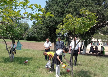 "Yaşıl dünya naminə həmrəylik ili" ilə bağlı Səfikürd kənd tam orta məktəbində tədbir keçirildi