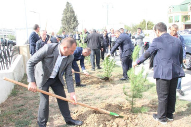 Goranboy  şəhərində,  "Yaşıl dünya naminə həmrəylik ili" çərçivəsində, növbəti ağacəkmə aksiyası həyata keçirildi.