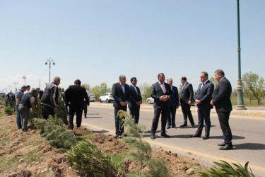 Goranboyda,  “Yaşıl dünya naminə həmrəylik ili” ilə bağlı, rayon İcra Hakimiyyətinin  Tədbirlər Planına uyğun olaraq, növbəti ağacəkmə aksiyası  təşkil olundu.