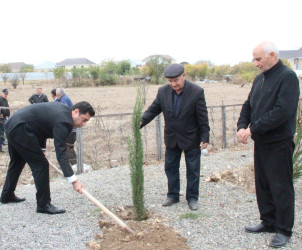Goranboyda “08 noyabr –Zəfər Günü” ilə bağlı növbəti ağacəkmə aksiyası keçirildi