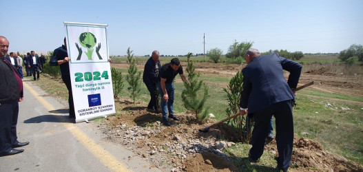 Goranboyda,  “Yaşıl dünya naminə həmrəylik ili” ilə bağlı, rayon İcra Hakimiyyətinin  Tədbirlər Planına uyğun olaraq, növbəti ağacəkmə aksiyası  təşkil olundu.