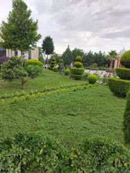 Goranboyda abadlıq və yenidənqurma işləri davam etdirilir