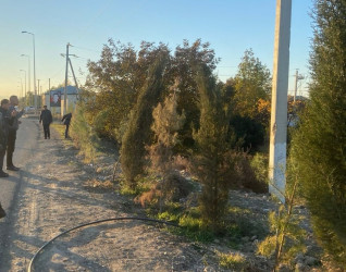 Goranboyda, "Yaşıl dünya naminə həmrəylik ili" ilə bağlı, yeni yaşıllıq zolaqlarının salınması, mövcud infrastrukturun genişləndirilməsi və aqrotexniki qulluğun göstərilməsi işləri davam etdirilir.