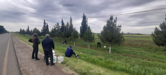Goranboyda “Şəhərsalma və Memarlıq İli” və beynəlxalq velosiped yarışına hazırlıq işləri çərçivəsində ümumrayon iməcliyi davam etdirilir