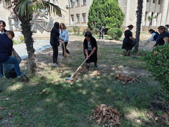 Goranboyda  "Yaşıl dünya naminə həmrəylik ili" ilə bağlı tədbirlər davam etdirilir.