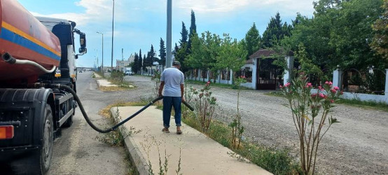 Goranboyda yeni salınmış yaşıllıq zolaqlarına aqrotexniki qulluğun göstərilməsi işləri davam etdirilir