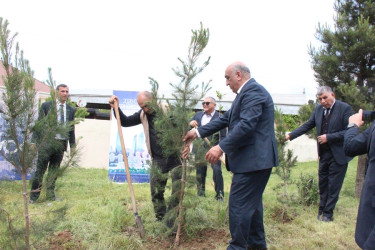 Goranboyda “Şəhərsalma və Memarlıq İli” çərçivəsində Ümummilli Lider Heydər Əliyevin anadan olmasının 103-cü ildönümü ilə bağlı ağacəkmə aksiyası keçirildi