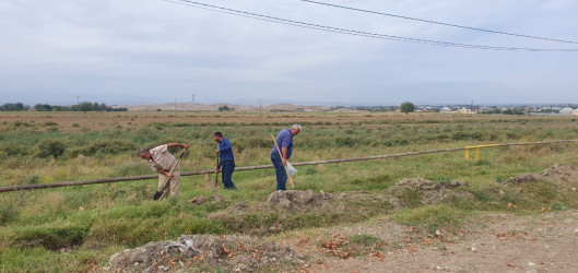 Goranboy rayonunda əsas turizm marşurutları üzrə yolkənarı ərazilərdə ümumrayon iməciliyi təşkil olundu, təmizlik, abadlıq işləri aparıldı.