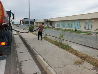 Goranboyda yol kənarında ağaclar suvarıldı, məişət tullantıları təmizləndi