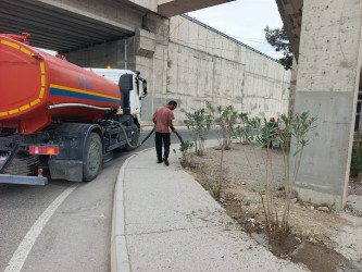 Goranboyda yol kənarında ağaclar suvarıldı, məişət tullantıları təmizləndi
