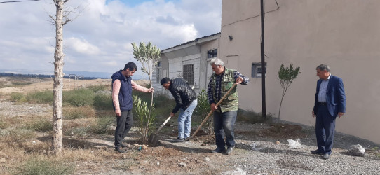 Goranboyda, "Yaşıl dünya naminə həmrəylik ili" çərçivəsində həyata keçirilən kütləvi ağacəkmə  aksiyasına  Borsunlu və Nadirkənd kəndlərinin sakinləri də fəal qoşuldular.