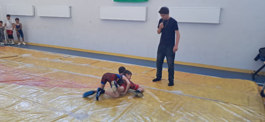 Goranboy rayonunda sərbəst güləş idman növü üzrə turnir keçirildi