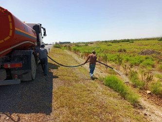 Goranboyda yeni salınmış yaşıllıq zolaqlarına aqrotexniki qulluq işləri davam etdirilir. Bu məqsədlə, ağacların növbəti suvarılması işləri görülür.