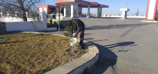 Goranboyda, "Yaşıl dünya naminə həmrəylik ili" ilə bağlı, yeni salınmış yaşıllıq zolaqlarına aqrotexniki qulluq işləri davam etdirilir.