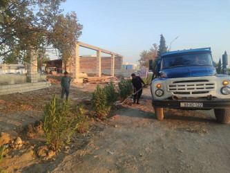 Goranboyda  "Yaşıl dünya naminə həmrəylik ili"  çərçivəsində, həyata keçirilən ağacəkmə aksiyasında başa çatdırılan əkin işlərindən sonra, ağacların suvarılması prossesi aparılır.