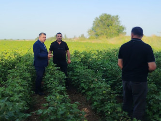 Goranboyda fermerlərlə Dövlət Proqramının icrasına həsr olunmuş maarifləndirici görüş keçirildi