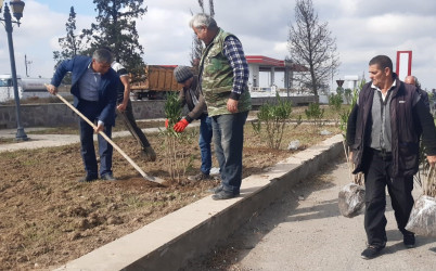 Goranboyda, "Yaşıl dünya naminə həmrəylik ili" çərçivəsində həyata keçirilən kütləvi ağacəkmə  aksiyasına  Borsunlu və Nadirkənd kəndlərinin sakinləri də fəal qoşuldular.